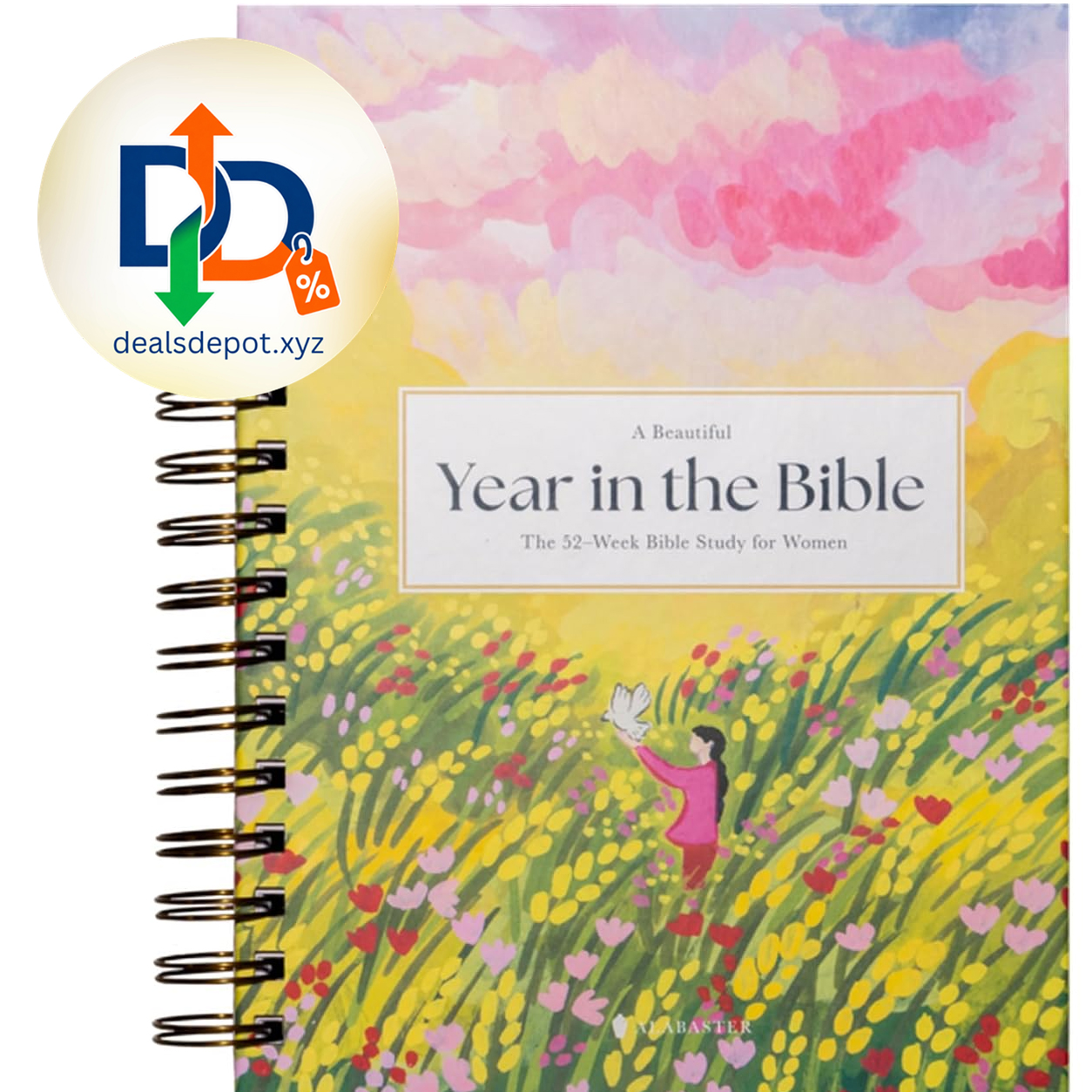 A Beautiful Year in the Bible: The 52-Week Bible Study for Women